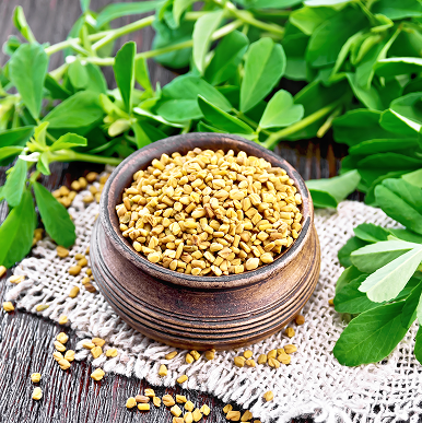 Siberian Rhubarb Root Extract