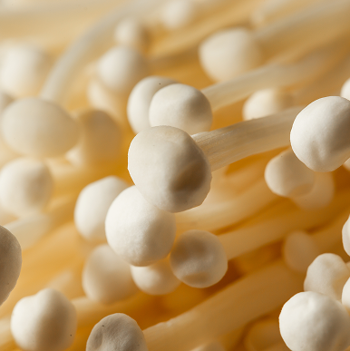 Organic Inulin Prebiotic Fiber